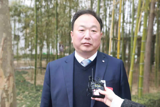 大型游乐设备厂家